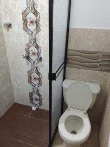 a bathroom with a toilet and a shower with skulls at Hotel Oriente Real in Rionegro