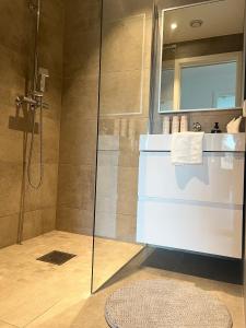 a bathroom with a shower and a sink and a mirror at Brightside Suite in Kristiansand +26 photos