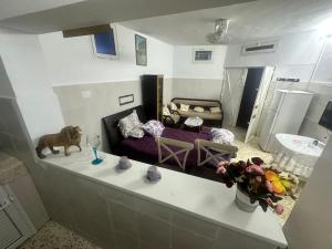 a living room with a dog sitting on a counter at Bizerte Tunisia cozy studio in Bizerte +13 photos