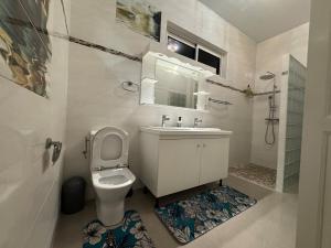 a bathroom with a toilet and a sink and a shower at La Maison Blanche, 2 bedrooms in Macouria +19 photos