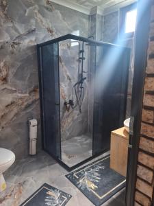 a shower with a glass door in a bathroom at Altın Vadi Konaklama in Fındıklı