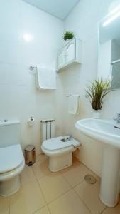 a white bathroom with a toilet and a sink at Bonito y acogedor apartamento pleno centro junto Catedral in Granada