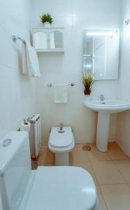 a white bathroom with a toilet and a sink at Bonito y acogedor apartamento pleno centro junto Catedral in Granada
