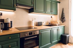 a kitchen with green cabinets and a sink at Quartier hippodrome in Cagnes-sur-Mer +26 photos