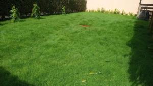a yard with green grass with a bench in it at JONARIC Residence - Luxury Villa in Lomé in Azyagbang +4 photos