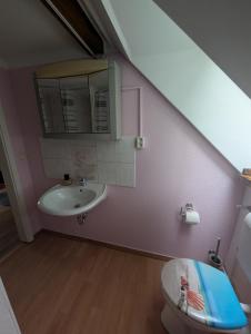 a bathroom with a sink and a mirror and a toilet at Zum altem Forsthof Grittel in Grittel +20 photos
