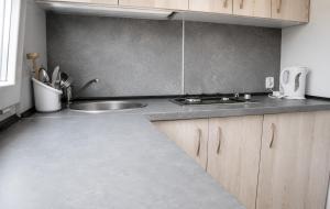 a kitchen with a sink and a counter top at Domki Bliźniak in Ustka