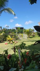 a bird sitting on a plant in a yard at Cabana Jamelão in Camaçari +11 photos