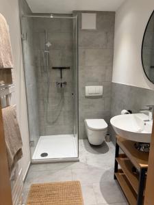 a bathroom with a shower and a toilet and a sink at falternhof apartment - geschichte trifft auf design in Höslwang