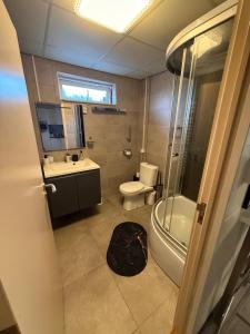 a bathroom with a toilet and a sink and a shower at The Quiet Escape in Strijen