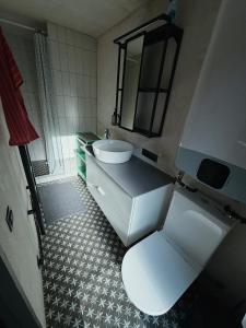 a bathroom with a white toilet and a sink at River Nest Tiny House in Iecava +10 photos