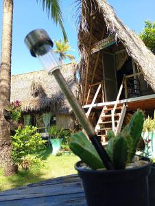 a plant in a pot in front of a house at Cabana Jamelão in Camaçari