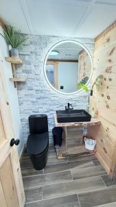 a bathroom with a black toilet and a mirror at cozy corner in Dalton +28 photos