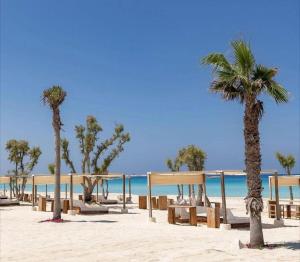 a beach with benches and palm trees on the beach at Fahd palm beach chalet in Ain Sokhna