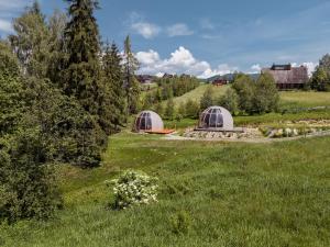 two domes in a field with grass and trees at Glamp Zielone Skałki in Kluszkowce