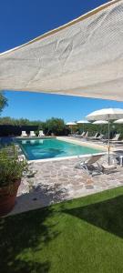 a large swimming pool with an umbrella and some chairs at B&B Le Logge Di Sopra in Asciano