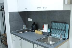 a kitchen with a sink and a counter top at Royal Racing Suite Top 6 near Red Bull Ring in Judenburg +7 photos