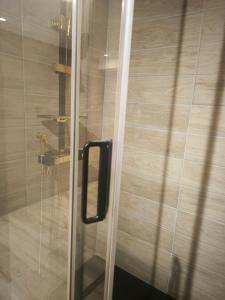 a shower door with a black handle in a bathroom at Suite DT4 in Blotzheim +3 photos