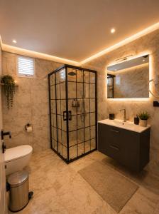 a bathroom with a sink and a toilet and a shower at Mahal house in Pelitli