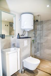 a bathroom with a toilet and a sink and a shower at Mini Condos 2 Studio-Loft with garden in Mrčevac