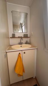 a bathroom with a sink and a mirror at Les 3oliviers in Santa-Maria-Siché +1 photo