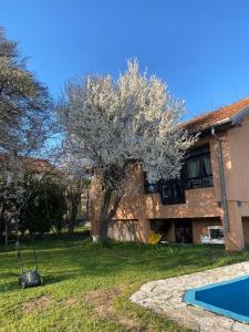 a house with a tree and a swimming pool at Casa Madre Kravice Waterfalls in Ljubuški