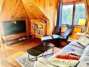 a living room with a couch and a tv at Charmant appartement dans maison patrimoniale in Sherbrooke
