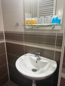 a bathroom with a white sink and a mirror at Balkan 024 in Subotica