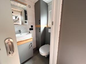 a small bathroom with a toilet and a sink at Fuchs und Igel Tiny House - Tiny House Fuchs in Möllensee