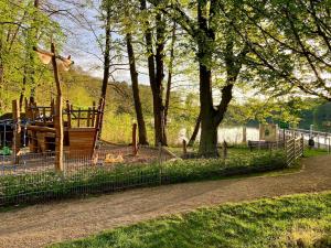 a playground in a park with a fence at Fuchs und Igel Tiny House - Tiny House Fuchs in Möllensee