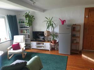 a living room with a refrigerator and potted plants at Unser Obervolkacher Ferienhaus - Hideaway & Gartenoase mit Wohlfühlflair und Herz für Hunde in Volkach