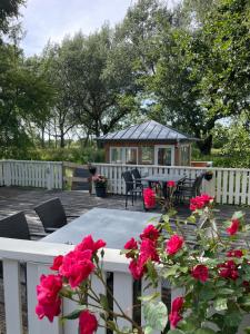 a deck with a table and a gazebo with red roses at Alpenstube Ockholm in Ockholm