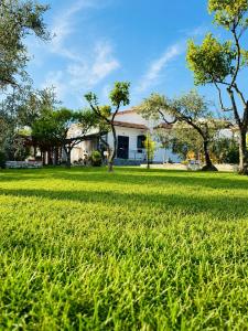 a large field of grass with a house in the background at Casa Maria in Scauri