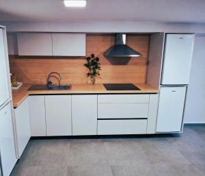 a kitchen with white cabinets and a sink at Guest House Kosec in Kutina +12 photos