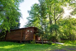 a small wooden cabin in a field with trees at Patagonia Mawida in Neltume