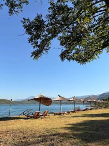 a beach with chairs and umbrellas and the water at Camping Principata in Brungaj +30 photos