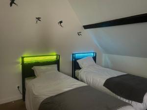 two beds in a room with birds on the wall at La Raimbauderie, villa 4 étoiles, avec clim, au coeur de la nature et des vignobles in La Chapelle-Montlinard