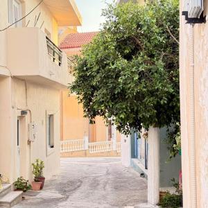 an empty street in a town with a tree at Dimitra's House in Kefalos