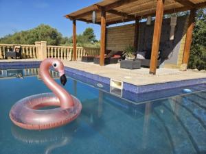 a red swan float in a swimming pool at Vila Girasoles in Cálig