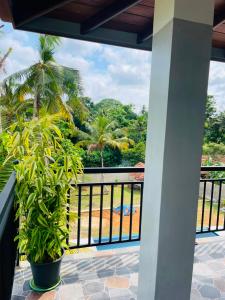 a balcony with a view of the ocean and palm trees at Villa Serandiva in Galle