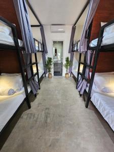 a hallway with four bunk beds in a room at Jungle Vibes Hostel in San Juan +10 photos