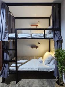 a bedroom with bunk beds in a hostel at Jungle Vibes Hostel in San Juan