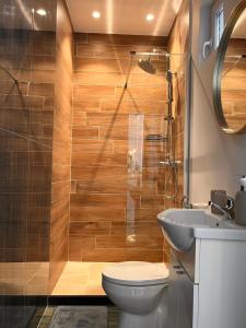 a bathroom with a shower and a toilet and a sink at Casa Alba - Tasnad in Tăşnad +18 photos