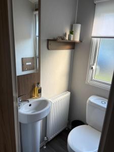 a small bathroom with a sink and a toilet at Sea Breeze Lodge in Longniddry