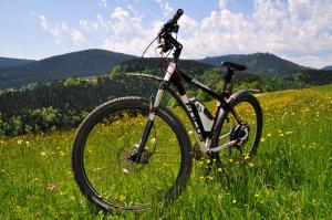 una bicicleta estacionada en un campo de hierba en Schwarzwaldhotel Klumpp, en Baiersbronn