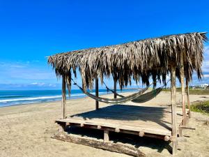 a hammock under a thatched hut on a beach at Nativo Lodge in Playas