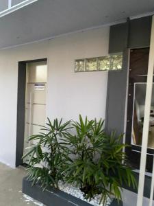 a building with two plants in front of it at kitnet Residencial Ozzy com Garagem Coberta em Betim in Betim