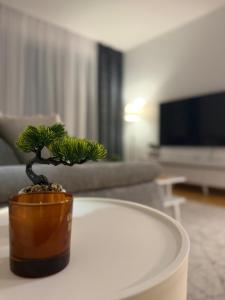 a small plant on a coffee table in a living room at El Paso Grande in Ledine