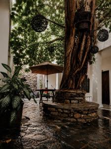 an umbrella sitting next to a tree in the rain at Hotel Puerta de Jade in Ciudad Valles
