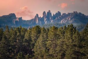 a view of a mountain range with trees and mountains at Hottub Hideaway: Firepit; Sauna; Views; Wildlife in Custer